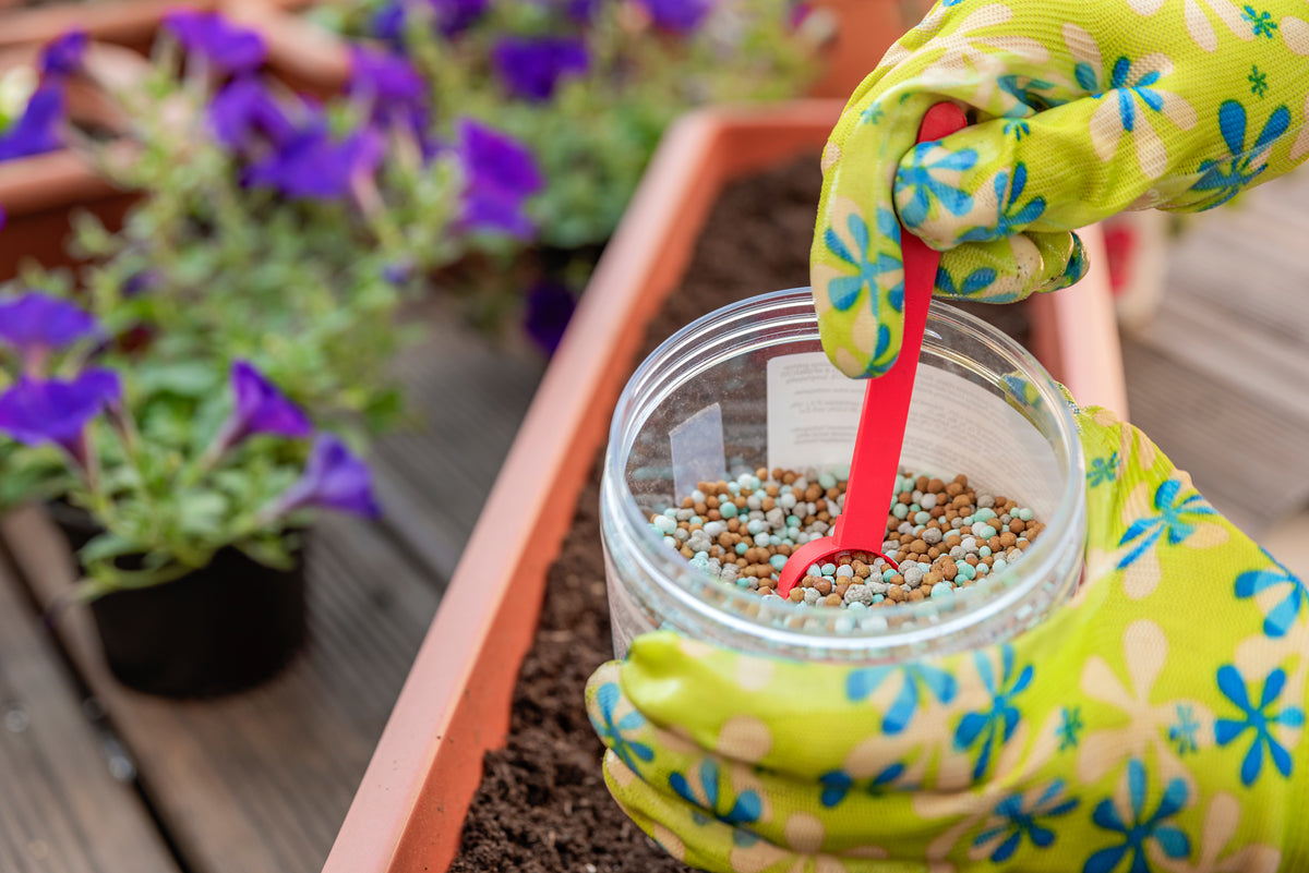 How to best fertilize your hanging baskets