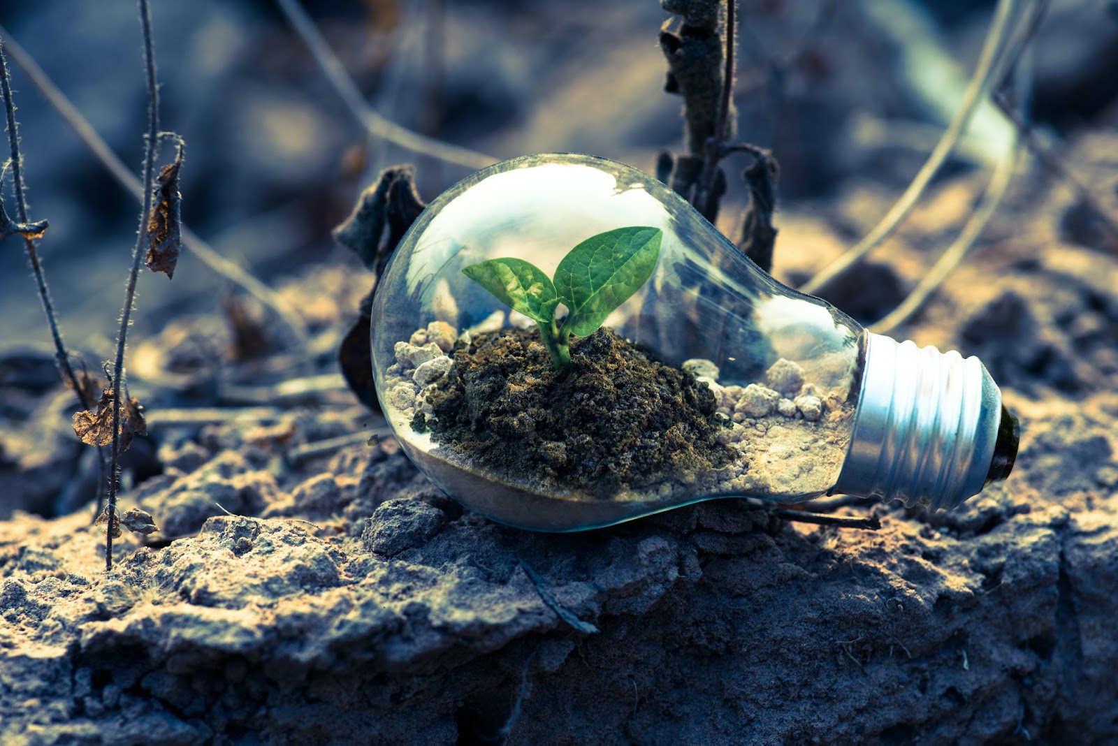 How to improve the drainage of your soil