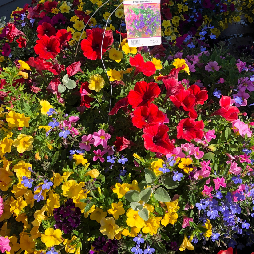 Wood Mixed Hanging Basket (Square Faux Wood Basket 12")
