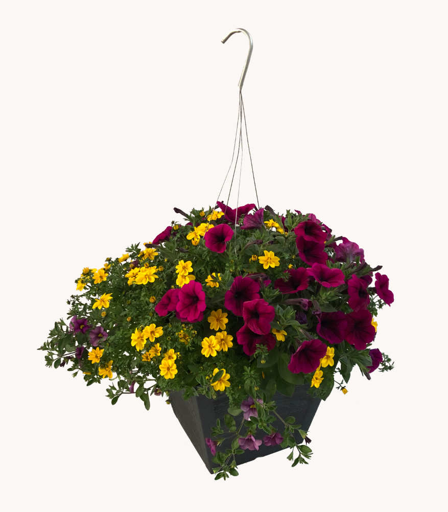 Wood Mixed Hanging Basket (Square Faux Wood Basket 12")
