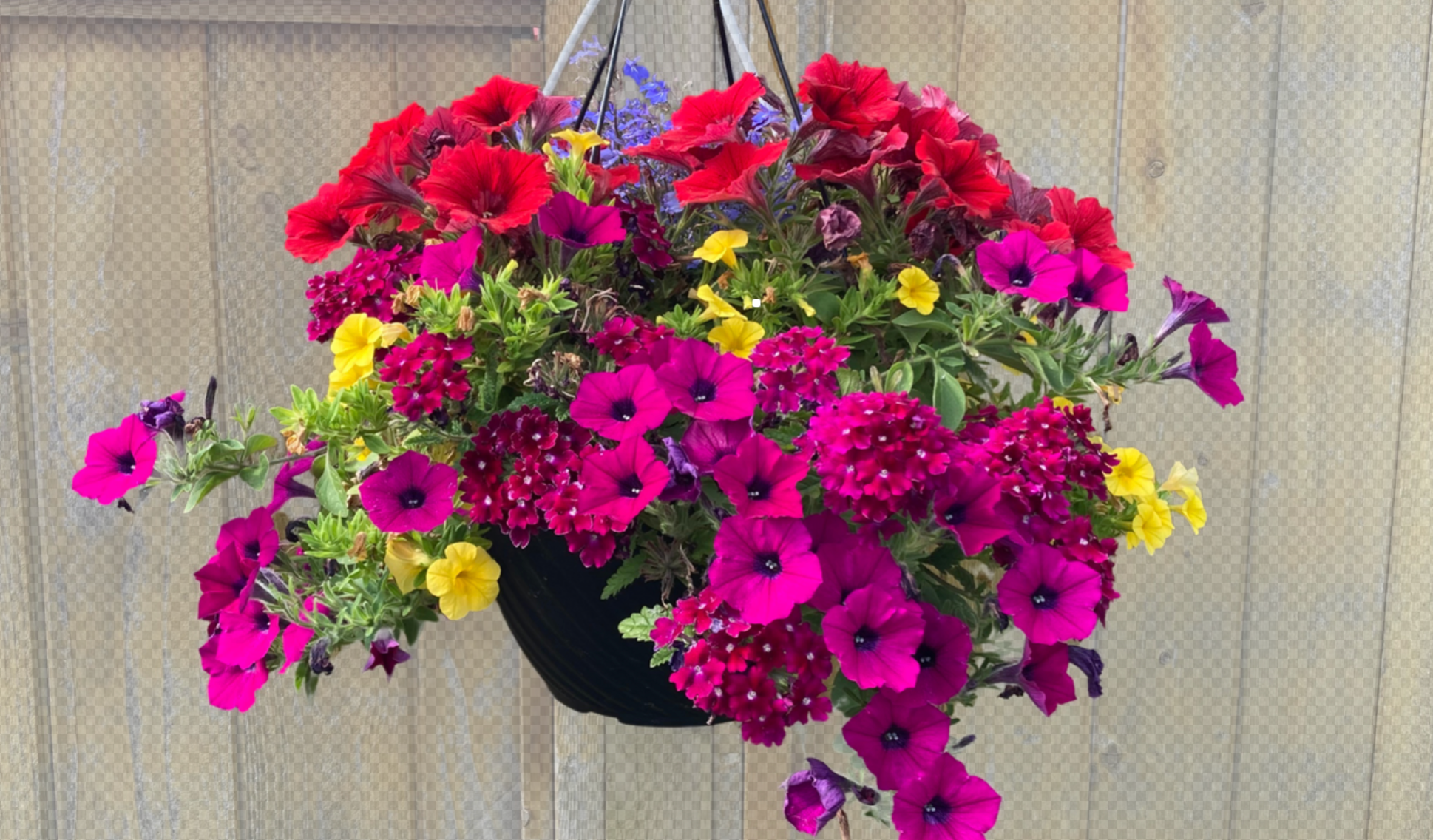 Wood Mixed Hanging Basket (Square Faux Wood Basket 12")
