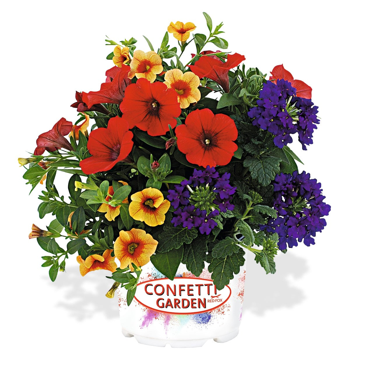 Mixed Hanging Basket (Jumbo Round)