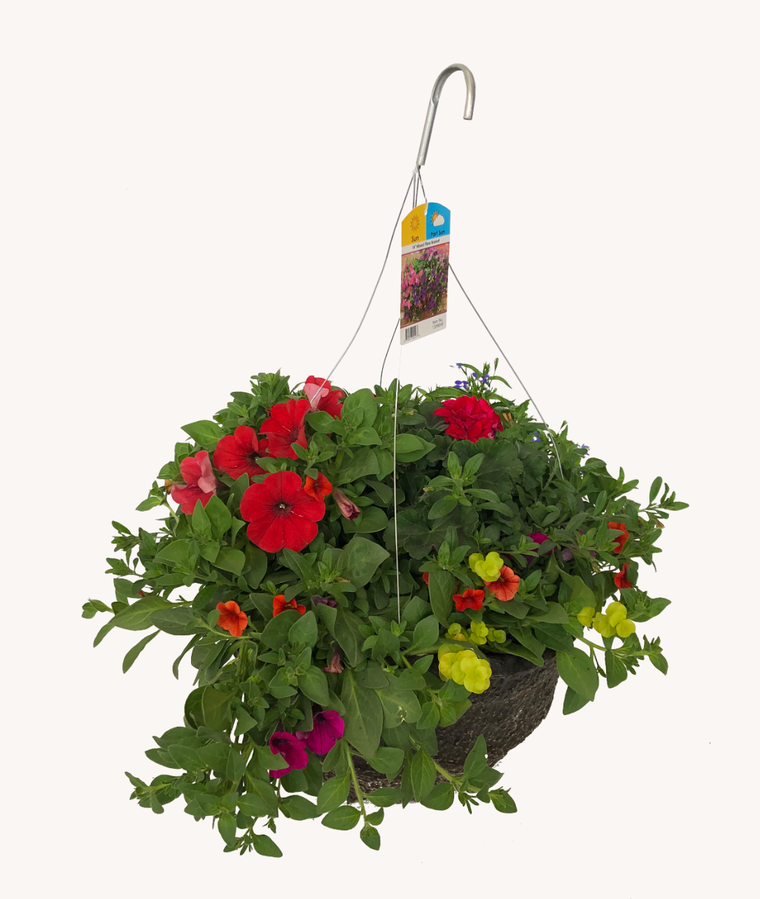 Mixed Hanging Basket (Jumbo Round)