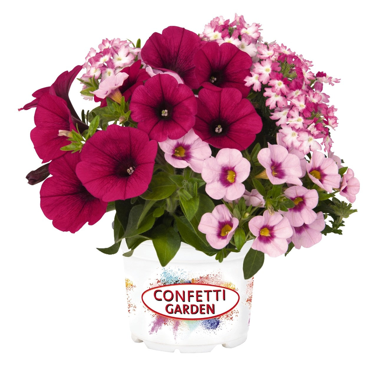 Mixed Hanging Basket (Jumbo Round)