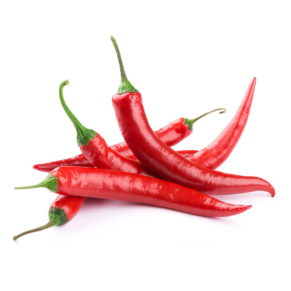 Pepper - Chili (12" Pot with Cage)