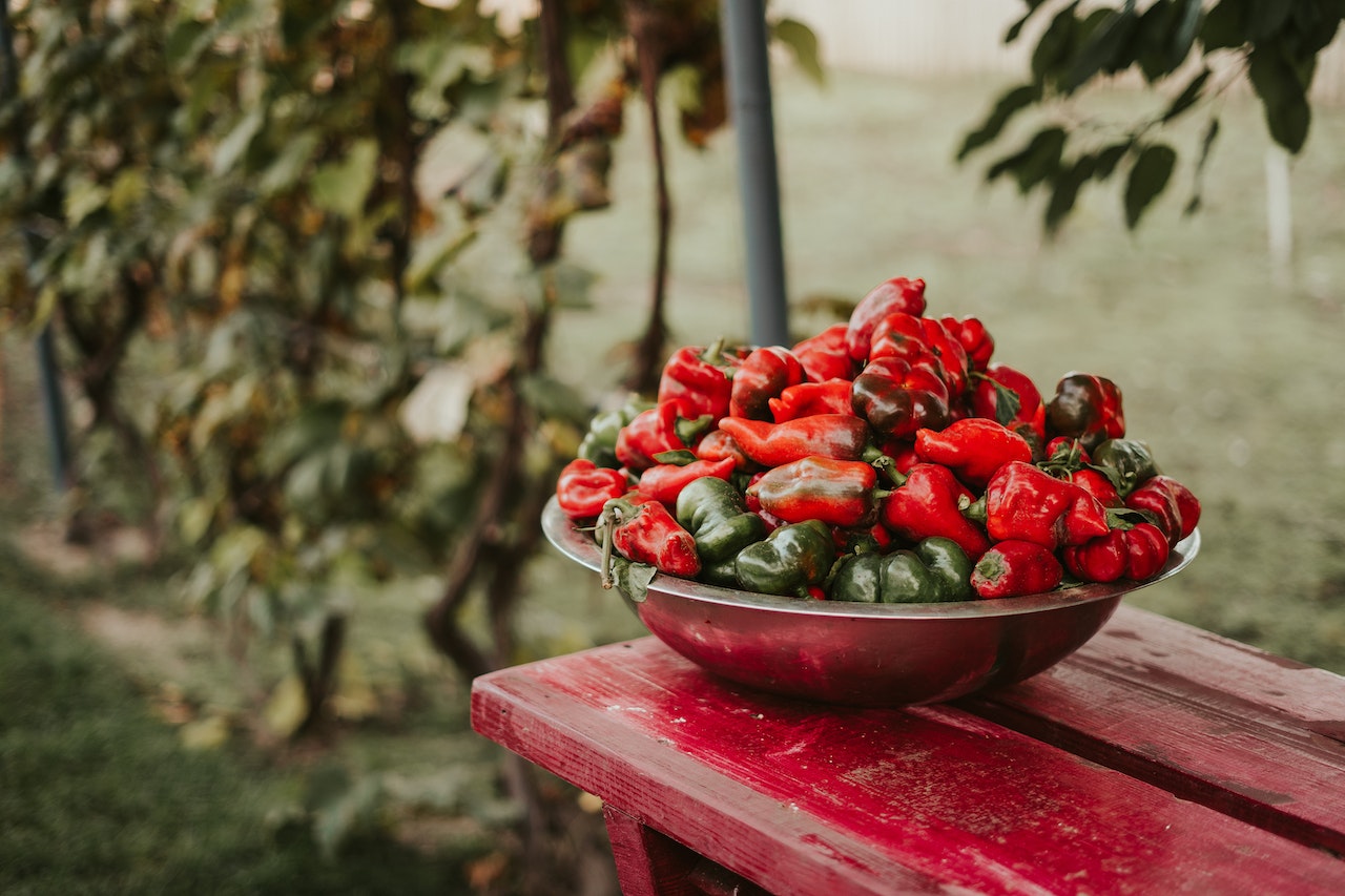 Better Peppers: Companion Planting to help get the best results