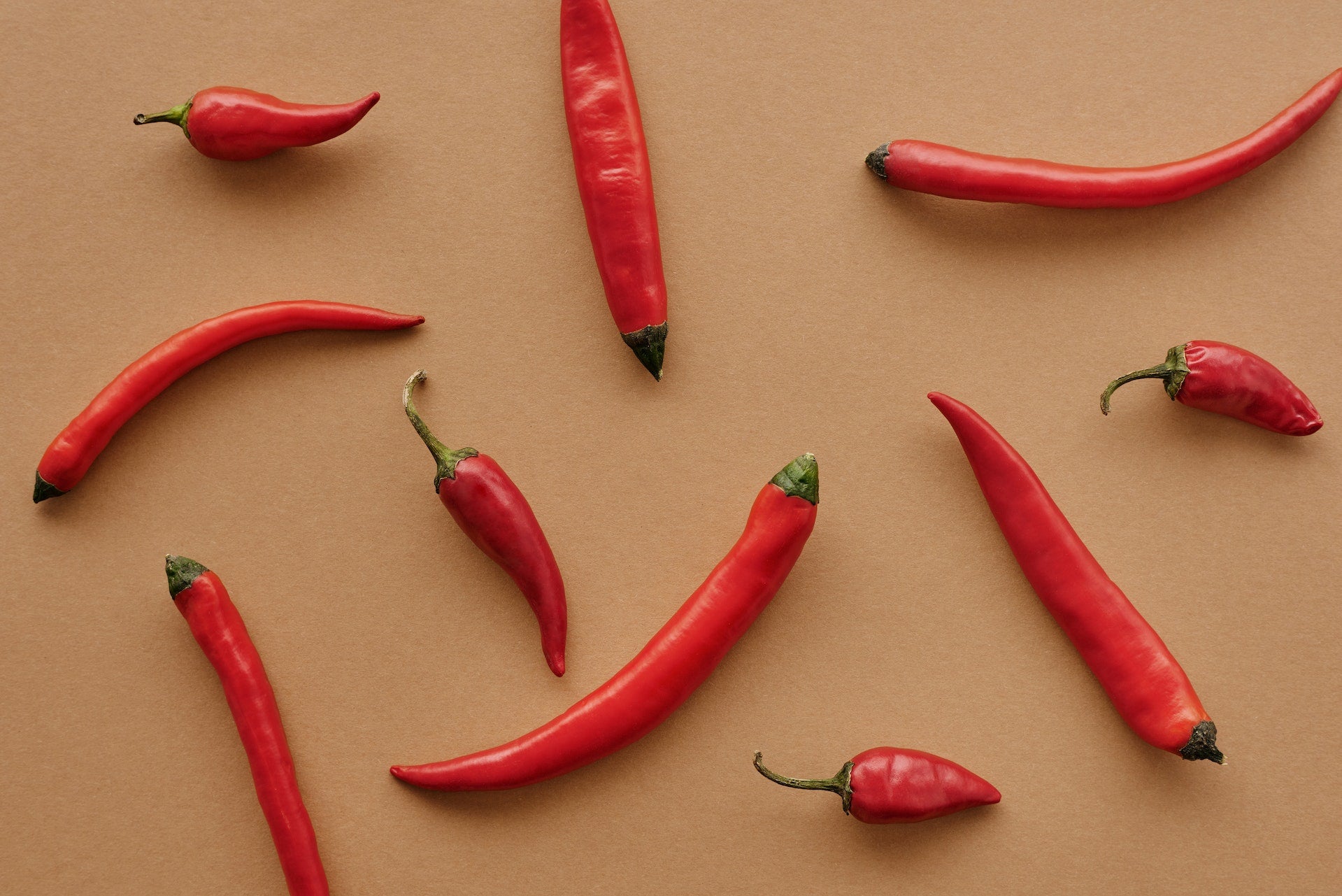 The Spicy Chronicles: A Hilarious Guide to Caring for Your Chili Pepper Plant