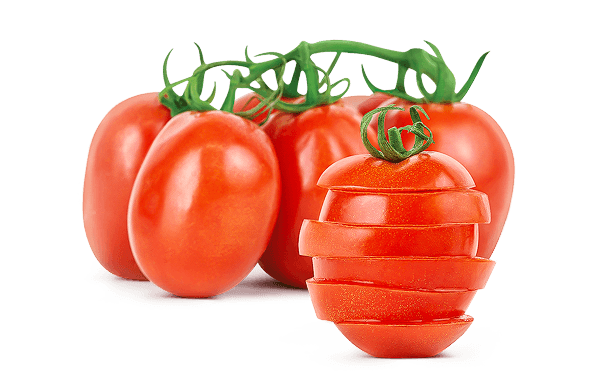 Roma Tomato plants: Easy-to-Grow and Care for in Your Garden